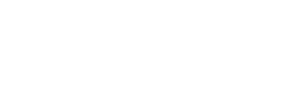 deluxe driveways landscapes and jet washing services logo upscaled white